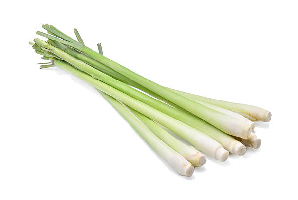 istock Lemongrass isolated on white background 621912748