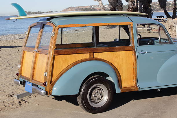 istock Woody at Doheny Beach with Surfoboard on Top 621912896