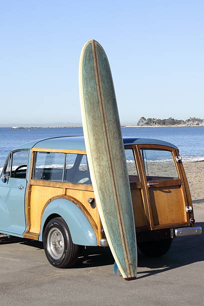istock Woody Watching the Waves with Surfboard 621913124