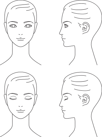 woman face. Front and profile.