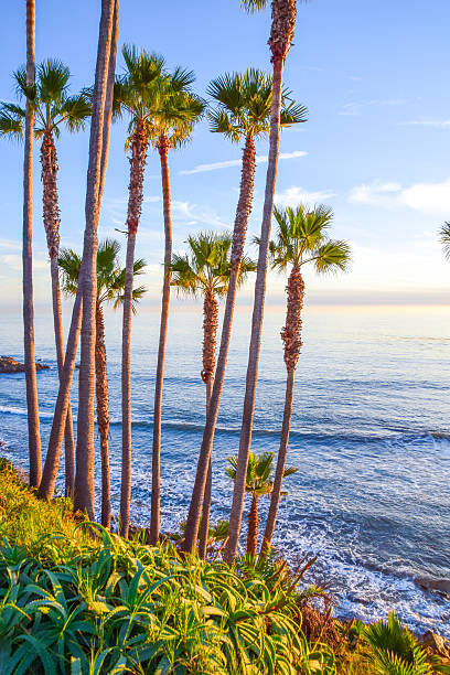 istock Heisler Park Laguna Beach 621918972