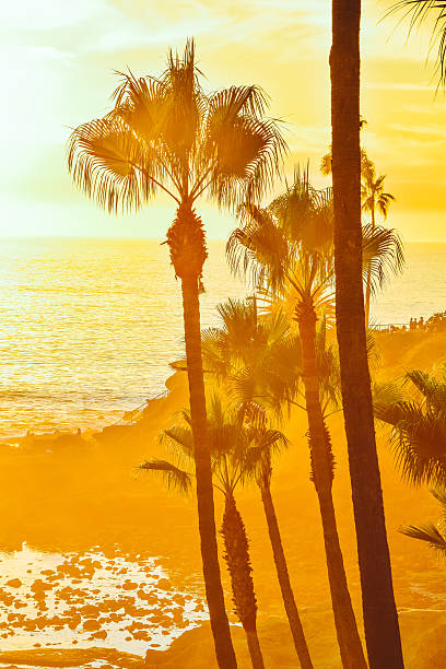 istock Heisler Park Laguna Beach 621919052