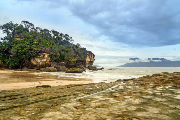 istock Tropical beach Telok Paku 621920588