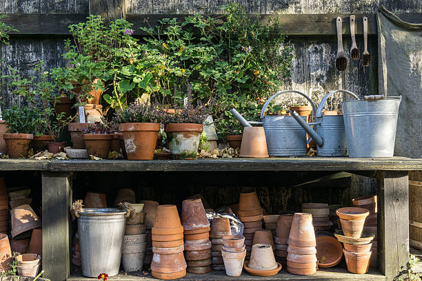 istock romantic idyllic plant table in the garden 621924258