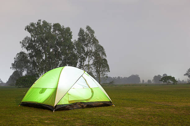 芝生の上のテント - tent camping dome tent single object ストックフォトと画像