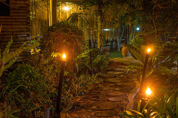 istock lamp with walkway in the garden night time 621927740