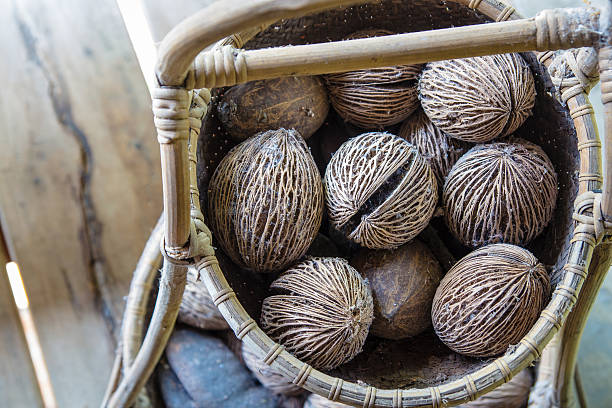 istock Dry cerbera oddloam's seed with basket people like 621927966