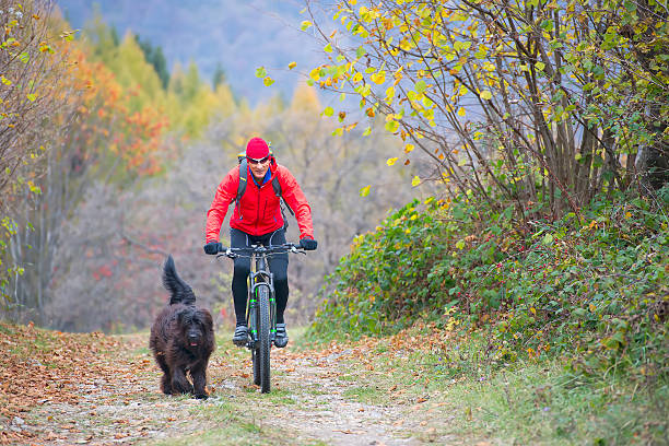 istock Man on a bicycle with her dog in the woods 621929582