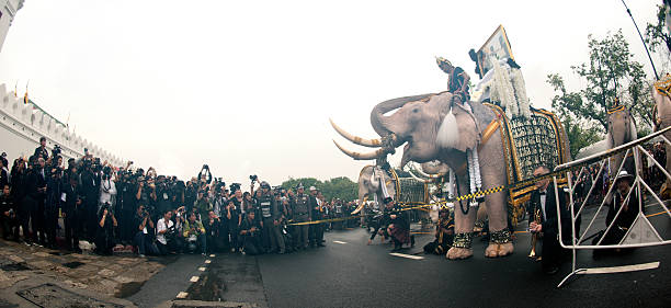 elefantenprozession ehrt verstorbenen könig. - indigenous culture famous place thailand bangkok stock-fotos und bilder