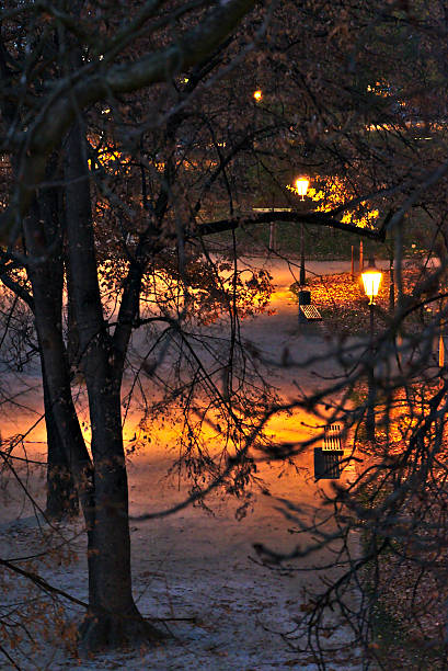 istock Evening view on one of the island in Prague 621932488