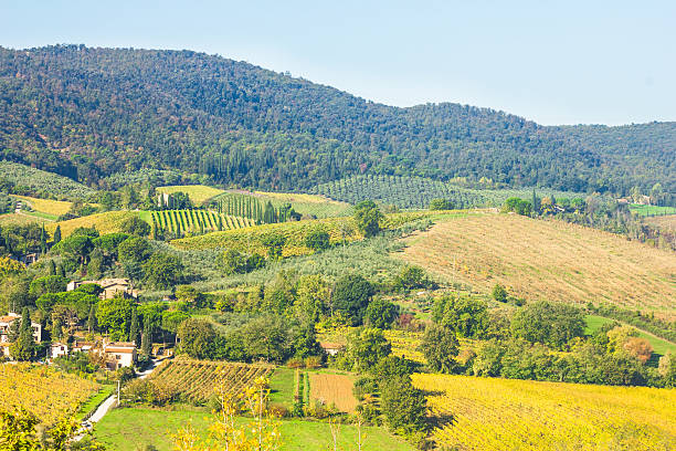 istock Landscape in Tuscany, Italy 621934092