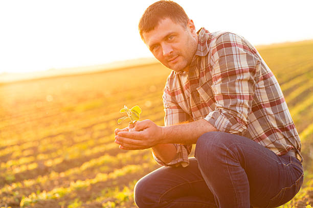 istock Farmer in a field holding crop in nis hands 621934572