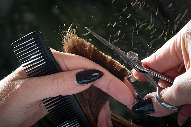 Hairdresser trimming brown hair with scissors stock photo