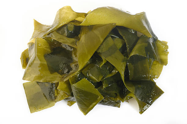 istock Fresh seaweed wakame isolated on white background 621973314