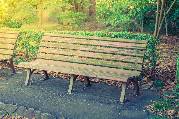 istock Wooden bench in the park 621973452