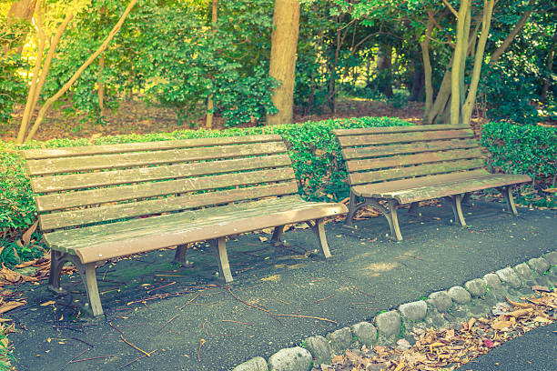 istock Wooden bench in the park 621973720