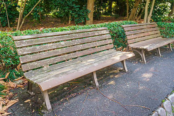 istock Wooden bench in the park 621973894