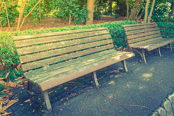 istock Wooden bench in the park 621974032