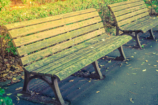 istock Wooden bench in the park 621976304