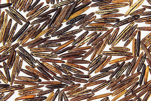 Black rice close-up on white background. Black rice close-up on white background. Isolated. Pattern of wild brown unpolished rice. genmai stock pictures, royalty-free photos & images