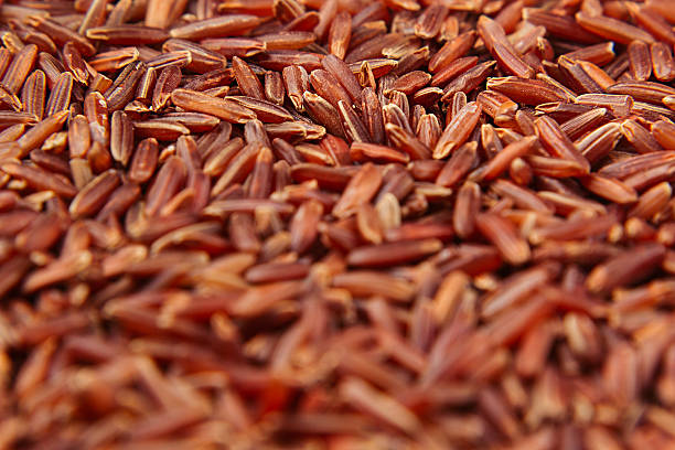 Red rice close-up background. Red rice close-up background. Heap wild brown unpolished rice for vegetarians. genmai stock pictures, royalty-free photos & images