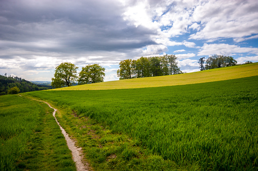 Rural landscape in Switzerland