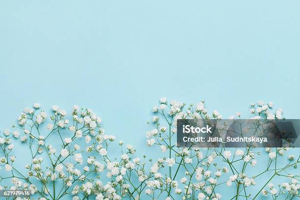Flower Background For Holidays Flat Lay Style Copy Space Vintage Stock Photo - Download Image Now