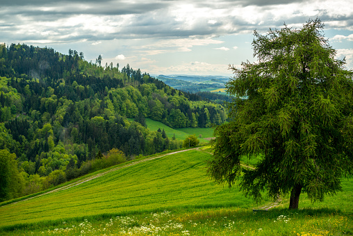 Rural landscape in Switzerland
