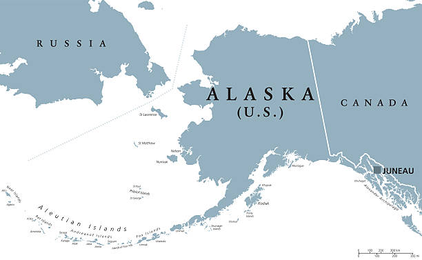 Alaska political map Alaska political map with capital Juneau. U.S. state in the northwest of the Americas with international borders and neighbor countries Russia and Canada. Gray colored illustration. English labeling. alaska us state stock illustrations