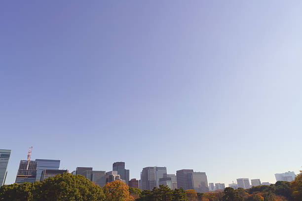 istock Cityscape of Tokyo 621981696