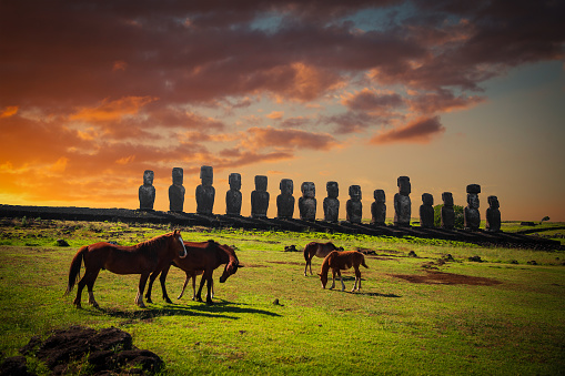 Horse on Easter Island at sunset walk around statues