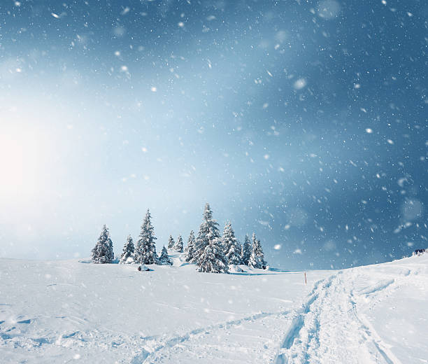 ユキコの風景 - 吹雪 ストックフォトと画像