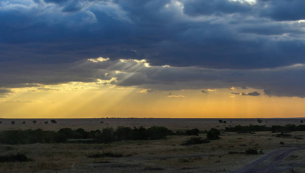 istock Safari in Kenya 621983830
