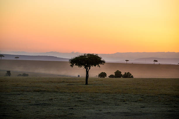 istock Safari in Kenya 621988088
