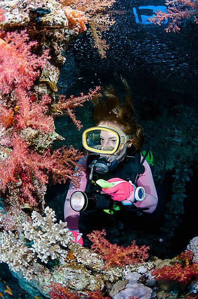 istock Diver Exploring Soft Corals of a Shipwreck 621988582