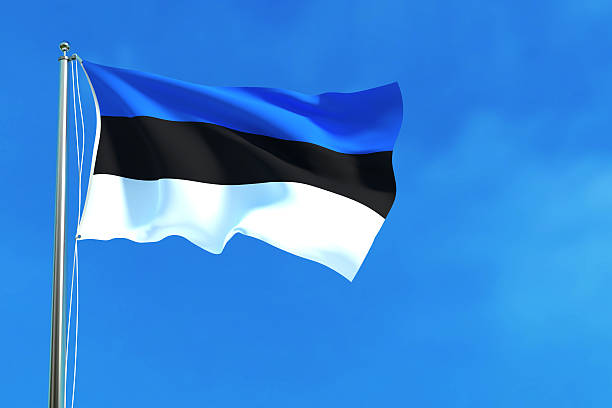 istock Flag of Estonia on the blue sky background. 621990934