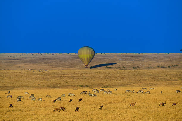 istock Safari in Kenya 621991226
