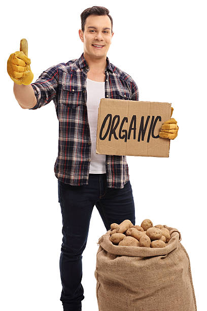 istock Farmer with burlap sack holding cardboard sign and giving thumb 621994592