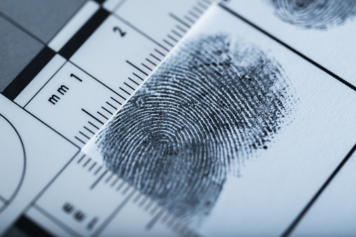 Human fingerprints. Crime Scene Investigation.