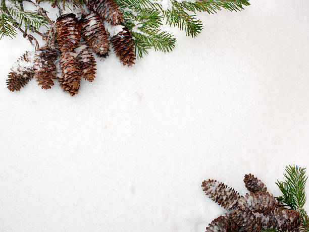 istock Christmas snow background. Spruce branches and cones, opposite each other. 621997406