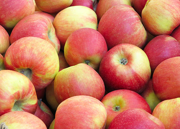 istock Red and yellow organic apples background 621998354