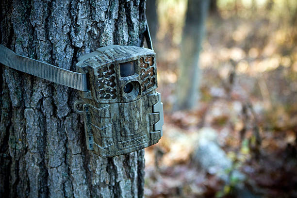 telecamera per monitorare i cervi nei boschi di caccia - nebraska landscape midwest usa landscaped foto e immagini stock