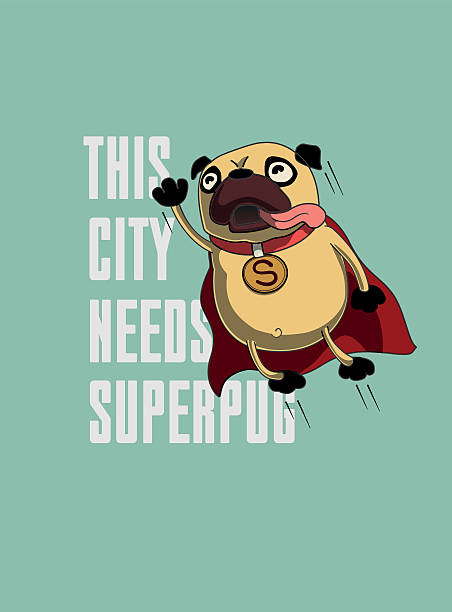 ilustrações de stock, clip art, desenhos animados e ícones de superpug - heroes dog pets animal