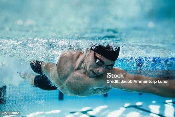 Fit Swimmer Training In The Pool Stock Photo - Download Image Now - Swimming, Men, Sport