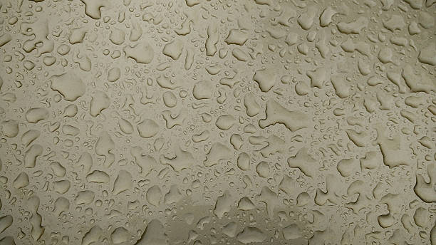 istock drops of water-repellent surface in black & white 622004698