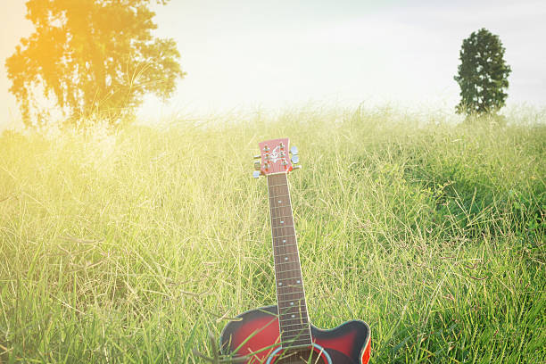 istock blurry and soft focus of guitar on grass at sunset 622007346
