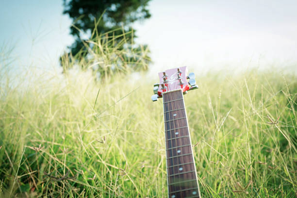 blurry and soft focus of guitar on grass at sunset ,vintage tone