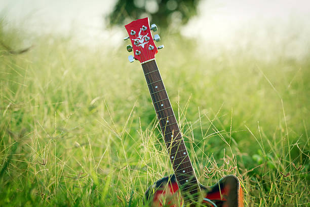 istock blurry and soft focus of guitar on grass at sunset 622007534