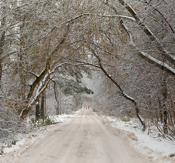istock Winter road in the countryside 622007828