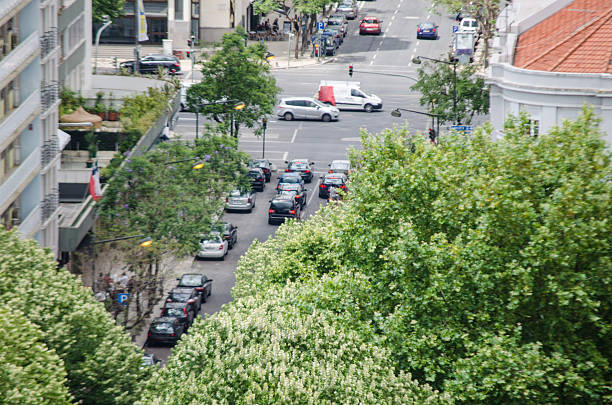 istock Trees and cars 622009954
